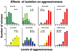 Isolation effects on agr